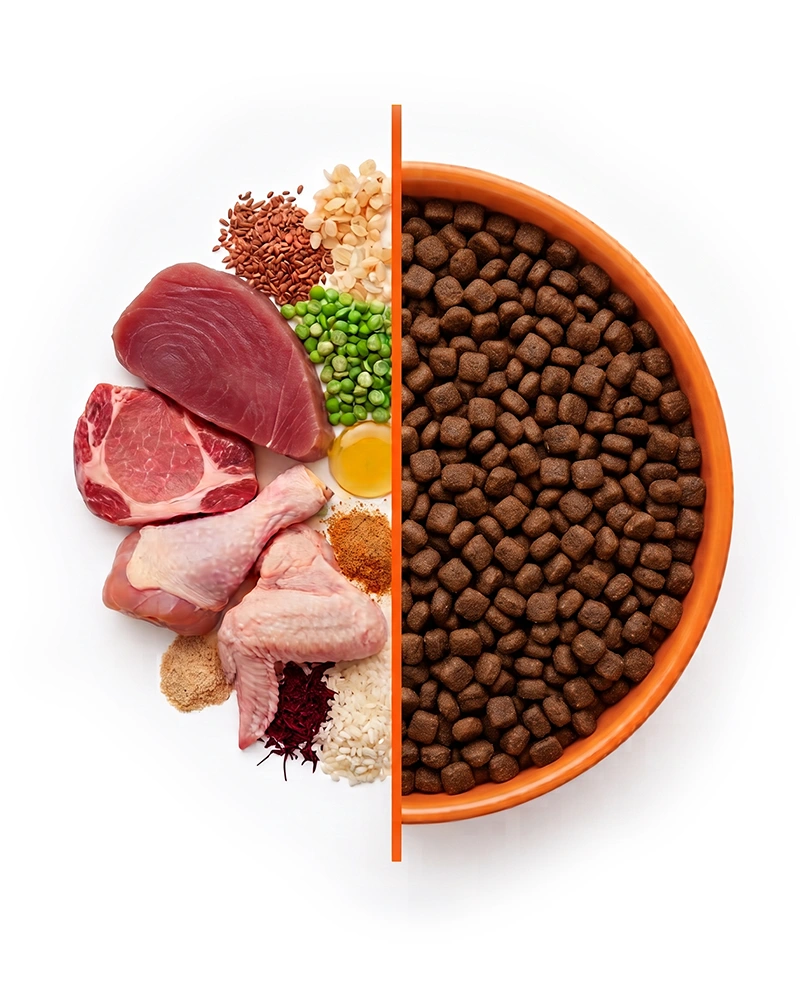 One bowl split down the middle: raw meat, fish, grains and vegetables on one side, finished kibble on the other.