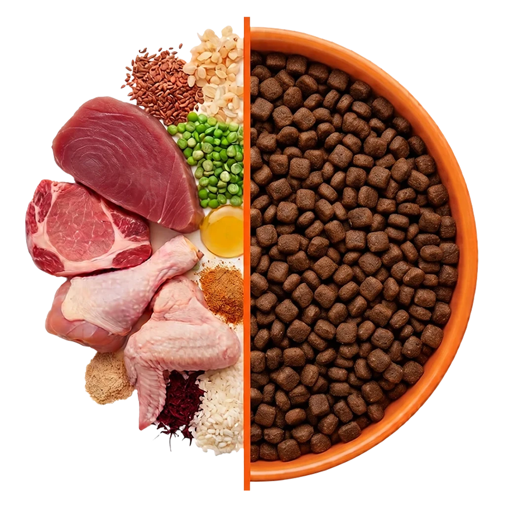 One bowl split down the middle: raw meat, fish, grains and vegetables on one side, finished kibble on the other.